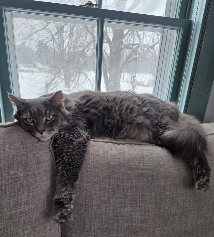 GURLEY ANTIQUES GALLERY