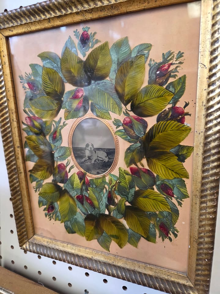 Gurley Antique Shows