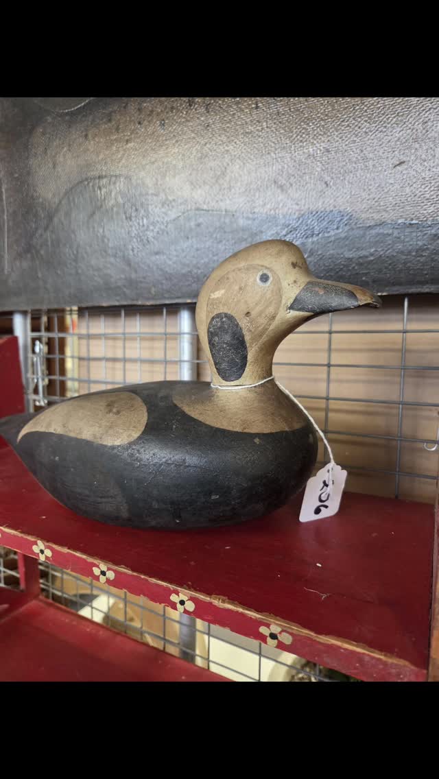 Gurley Antique Shows