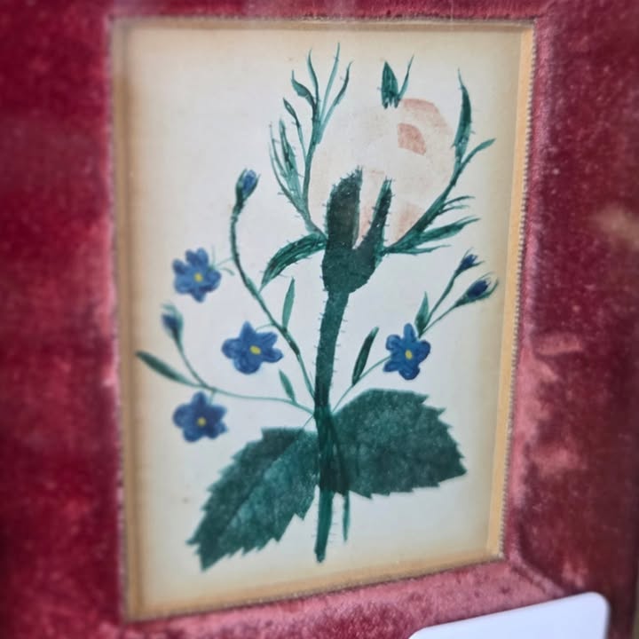 Gurley Antique Shows